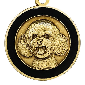 Medalion Bichon/Poodle, personalizare gratuita, din alama